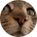 https://kfo-em.data-jt.de/wp-content/uploads/2023/02/rezension-4.png
